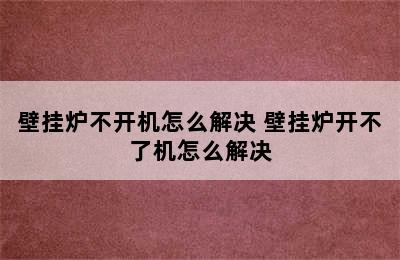 壁挂炉不开机怎么解决 壁挂炉开不了机怎么解决